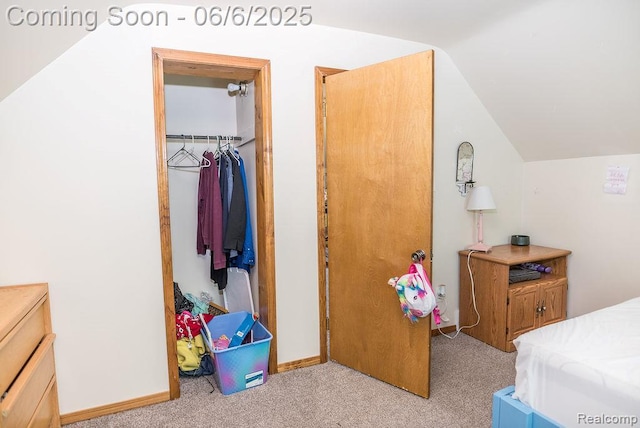 923 Stone St, Port Huron, MI 48060 - bedroom with carpet, vaulted ceiling, and a closet