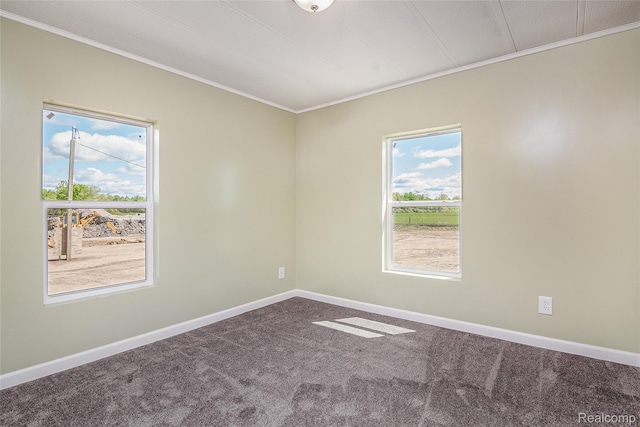 5730 Cavendar Dr, Mount Pleasant, MI 48883 - carpeted spare room featuring crown molding, healthy amount of natural light, and baseboards