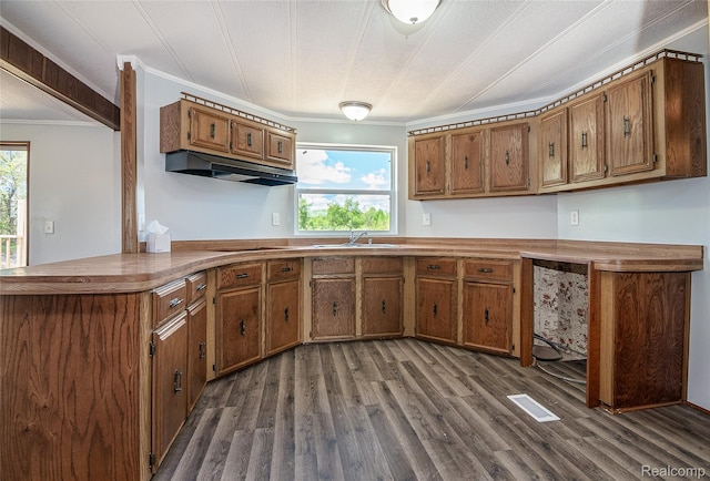 5730 Cavendar Dr, Mount Pleasant, MI 48883 - kitchen featuring under cabinet range hood, brown cabinetry, a peninsula, crown molding, and a sink