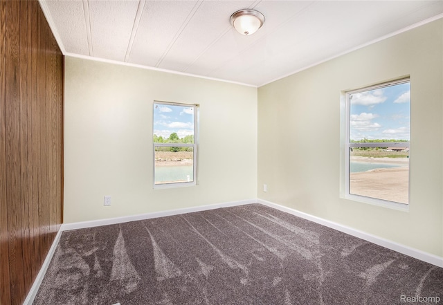 5730 Cavendar Dr, Mount Pleasant, MI 48883 - carpeted empty room featuring crown molding and baseboards