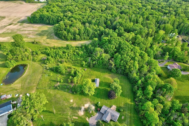 2284 E Frances Rd, Clio, MI 48420 - aerial view of property and surrounding area with a nearby body of water