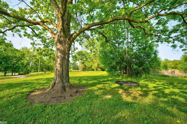 2284 E Frances Rd, Clio, MI 48420 - view of green lawn