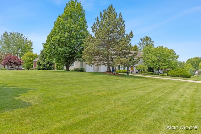 6574 Gran Via Dr NE, Rockford, MI 49341 - view of green lawn
