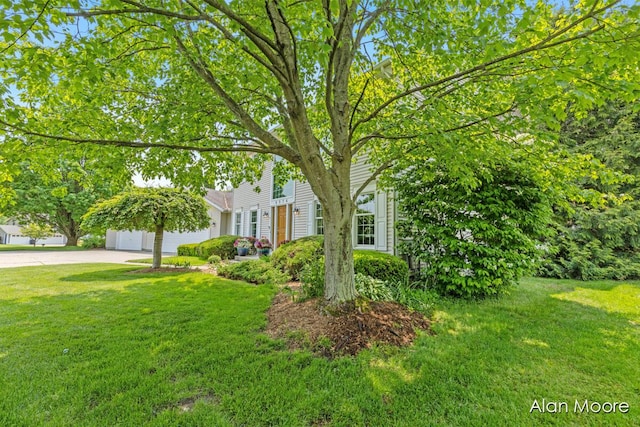 6574 Gran Via Dr NE, Rockford, MI 49341 - view of property hidden behind natural elements featuring concrete driveway, a front lawn, and an attached garage