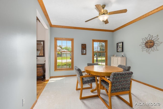 6574 Gran Via Dr NE, Rockford, MI 49341 - dining room with baseboards, ornamental molding, ceiling fan, and light colored carpet