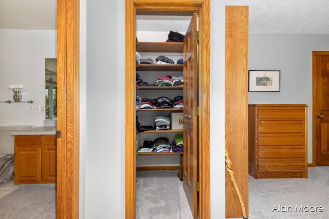 6574 Gran Via Dr NE, Rockford, MI 49341 - view of closet