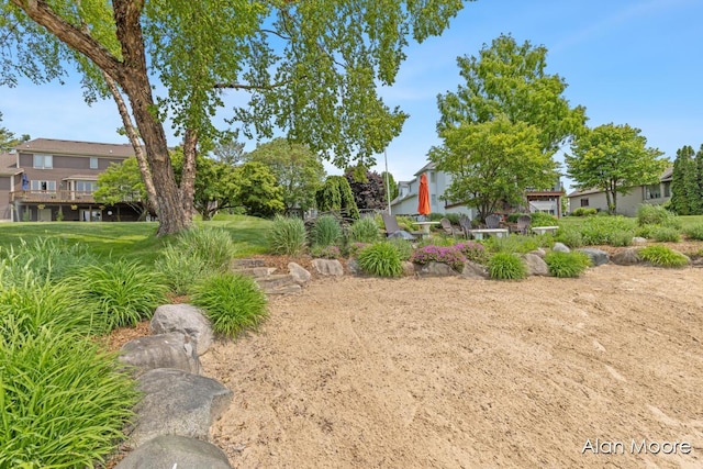 6574 Gran Via Dr NE, Rockford, MI 49341 - view of yard with a residential view