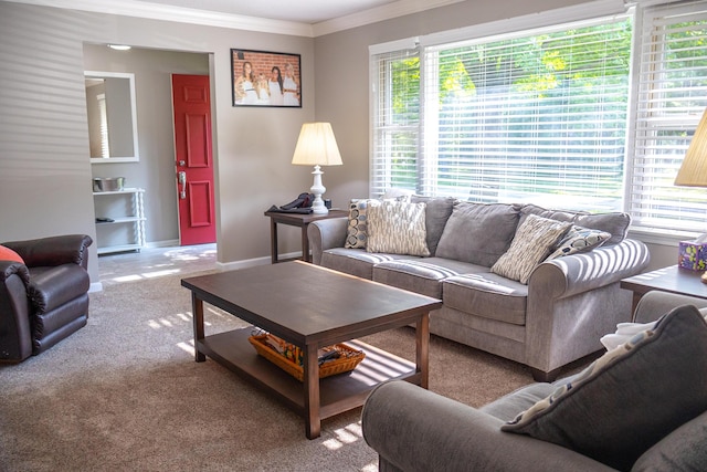 4873 Terrace Ln, Saint Joseph, MI 49085 - carpeted living room with healthy amount of natural light, ornamental molding, and baseboards