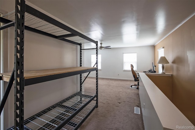17733 Deering St, Livonia, MI 48152 - storage featuring a ceiling fan