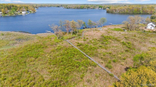 12150 Shaffer Rd, Davisburg, MI 48350 - water view