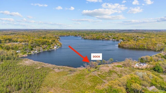 12150 Shaffer Rd, Davisburg, MI 48350 - aerial view of a forest and a large body of water