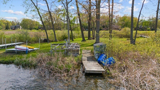 12150 Shaffer Rd, Davisburg, MI 48350 - dock area featuring a water view and view of wooded area