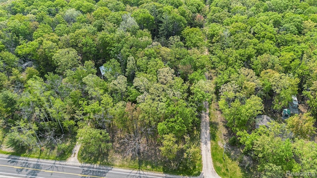 11135 Maple Ridge Way, Roscommon, MI 48653 - bird's eye view of a heavily wooded area