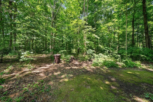 61738 Lake View Dr, Cassopolis, MI 49031 - view of wooded area