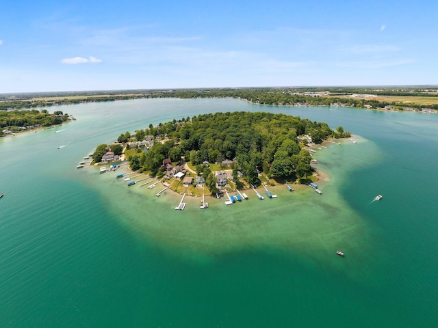 61738 Lake View Dr, Cassopolis, MI 49031 - bird's eye view of a large body of water