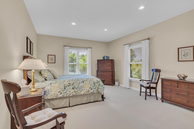 10575 Darrel Dr, Hanover, MI 49241 - bedroom featuring carpet flooring, baseboards, and recessed lighting
