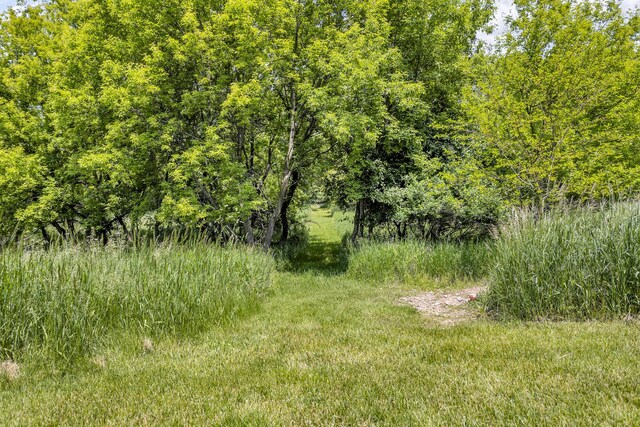 10575 Darrel Dr, Hanover, MI 49241 - view of wooded area