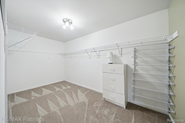 4300 Hampton Ridge Blvd, Howell, MI 48843 - walk in closet with carpet flooring