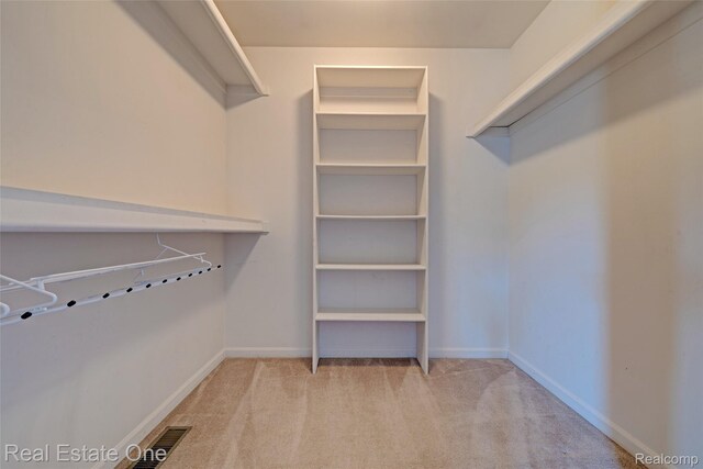 2338 Malena Ln, Oxford, MI 48371 - spacious closet featuring carpet