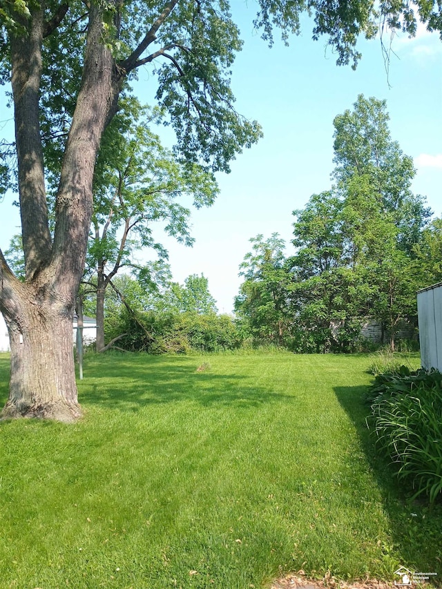 15330 Dayton Rd, Monroe, MI 48161 - view of grassy yard