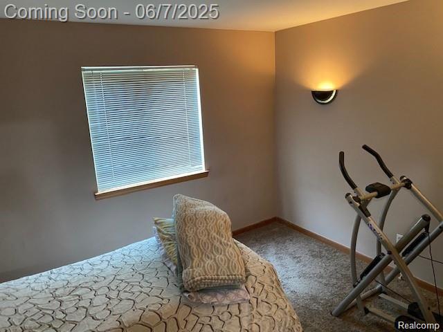 4110 W Cristina Ct S Unit 32, Warren, MI 48091 - unfurnished bedroom featuring carpet and baseboards