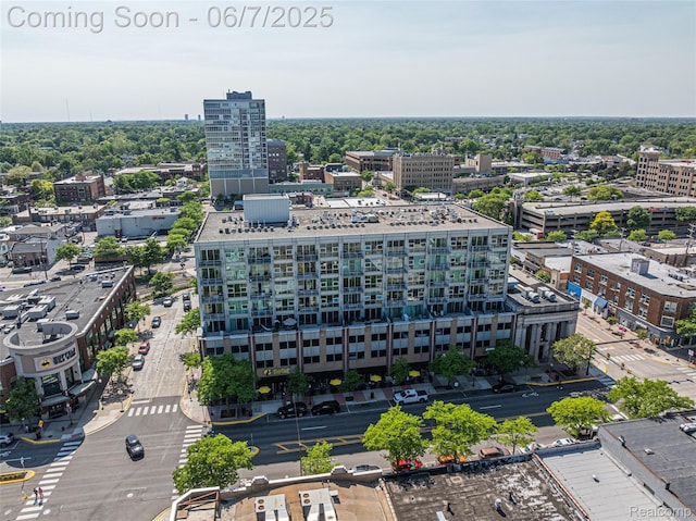 100 W 5th St Unit 504, Royal Oak, MI 48067 - view of urban area