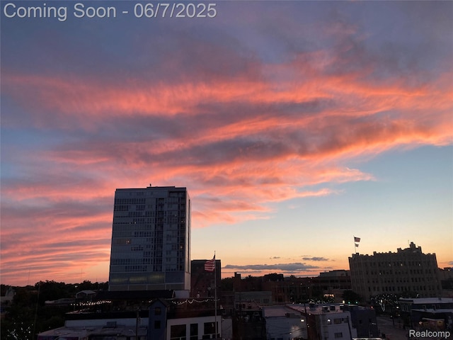 100 W 5th St Unit 504, Royal Oak, MI 48067 - city view