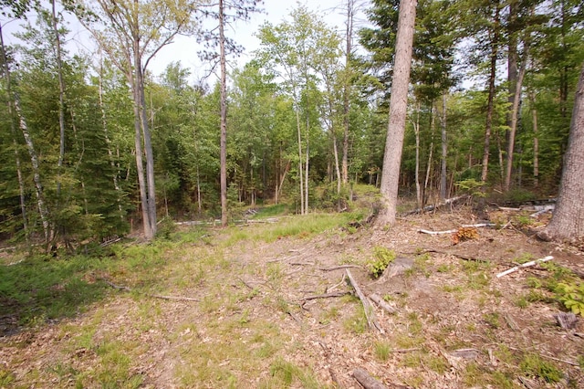 x Oleskie Trail, West Branch, MI 48661