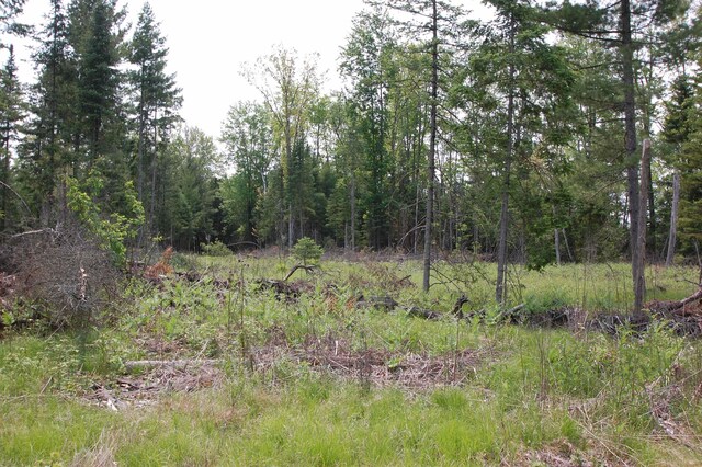 x Oleskie Trail, West Branch, MI 48661