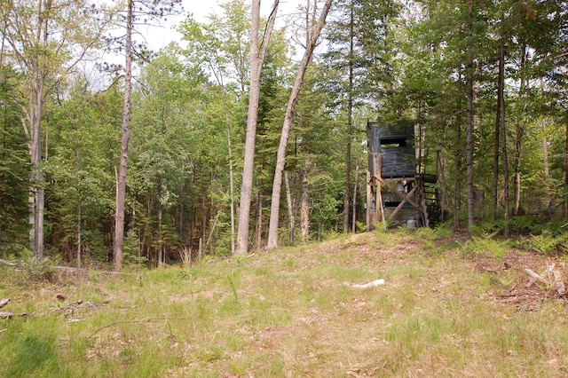 x Oleskie Trail, West Branch, MI 48661