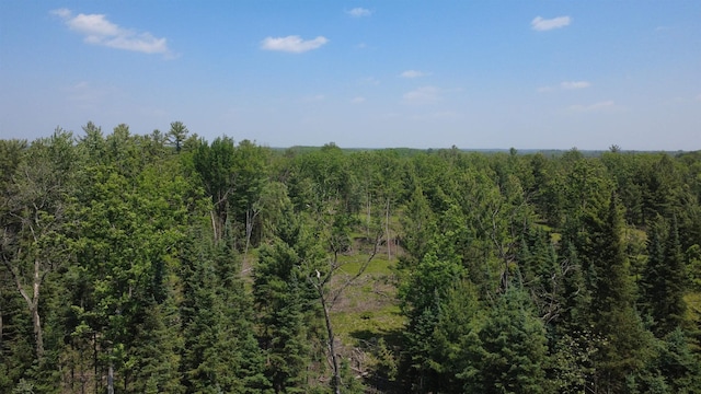 x Oleskie Trail, West Branch, MI 48661