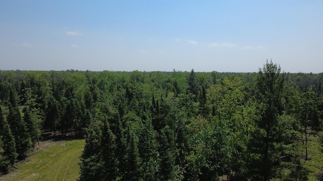 x Oleskie Trail, West Branch, MI 48661