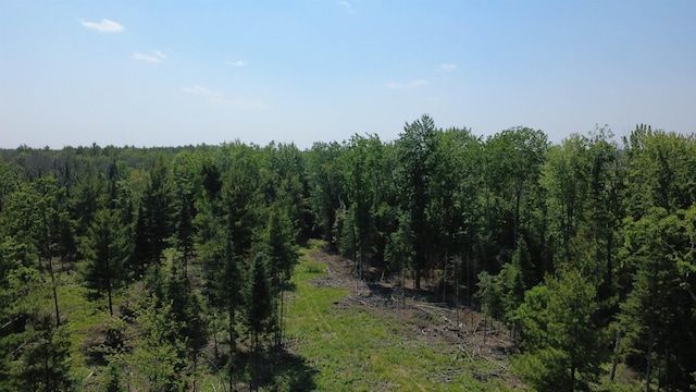 x Oleskie Trail, West Branch, MI 48661