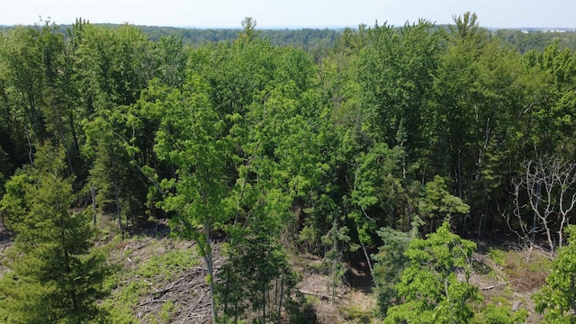 x Oleskie Trail, West Branch, MI 48661