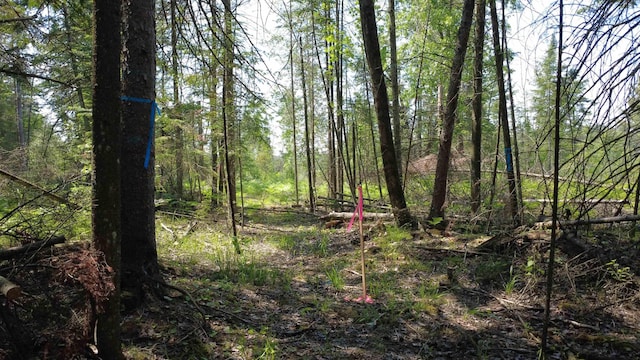 x Oleskie Trail, West Branch, MI 48661