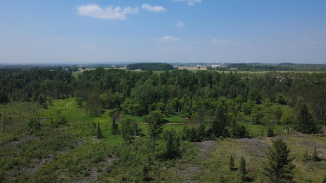 x Oleskie Trail, West Branch, MI 48661
