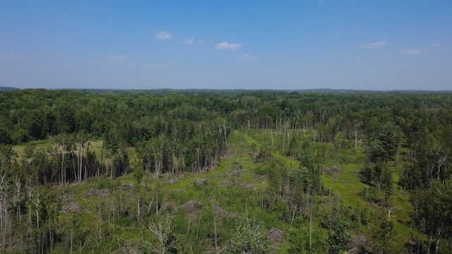 x Oleskie Trail, West Branch, MI 48661