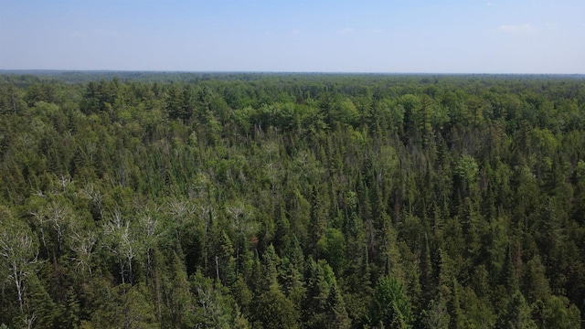 x Oleskie Trail, West Branch, MI 48661