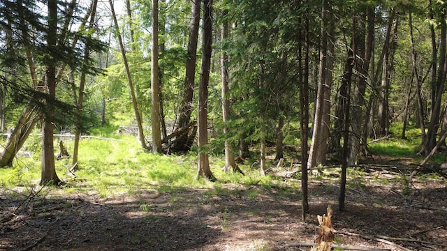 x Oleskie Trail, West Branch, MI 48661