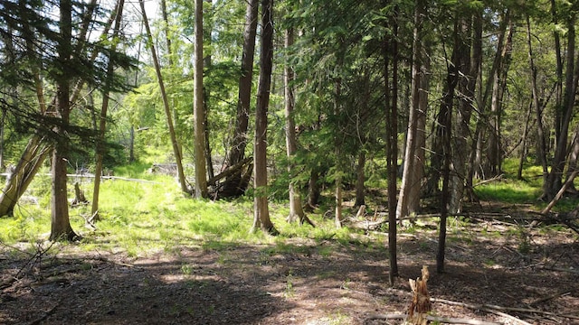 x Oleskie Trail, West Branch, MI 48661