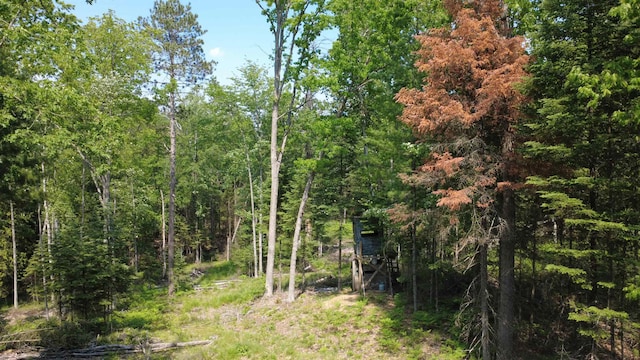 x Oleskie Trail, West Branch, MI 48661