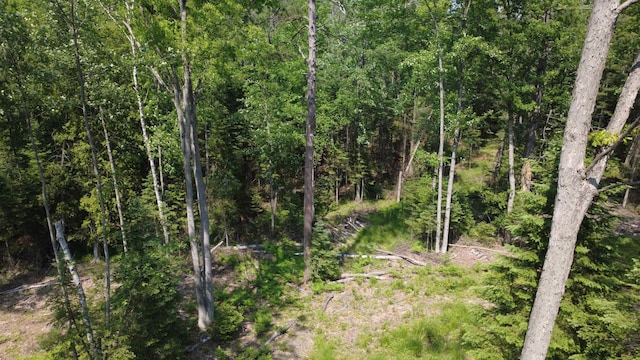 x Oleskie Trail, West Branch, MI 48661