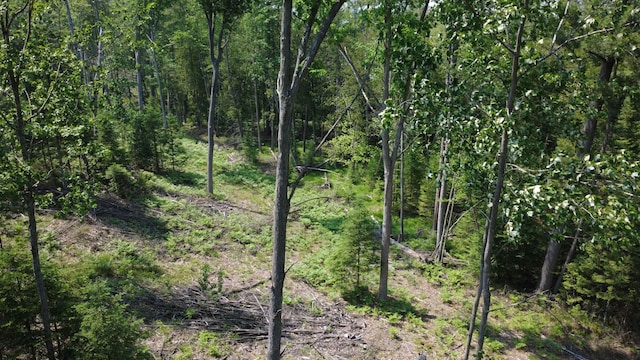 x Oleskie Trail, West Branch, MI 48661