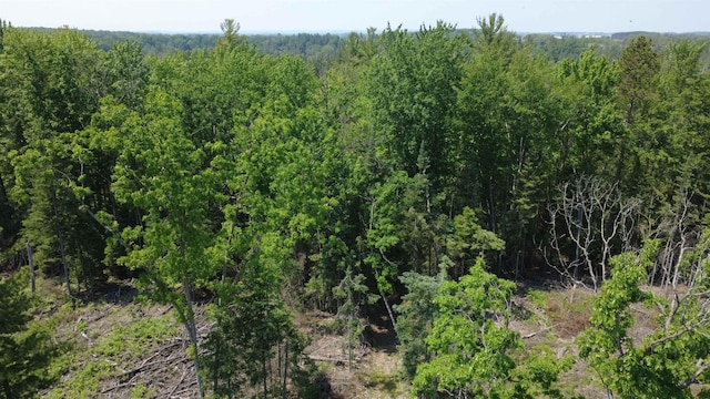 x Oleskie Trail, West Branch, MI 48661