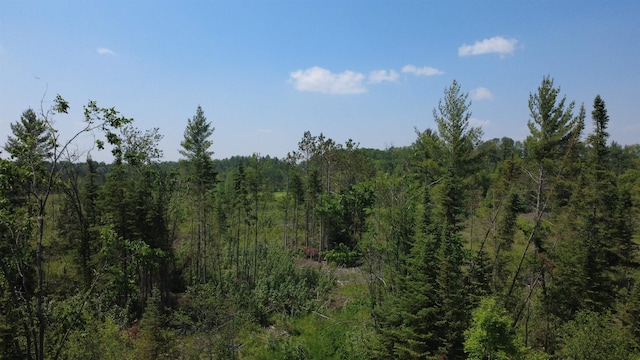 x Oleskie Trail, West Branch, MI 48661