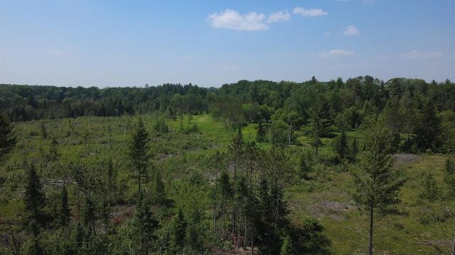 x Oleskie Trail, West Branch, MI 48661