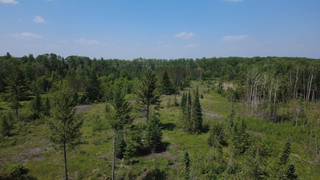 x Oleskie Trail, West Branch, MI 48661