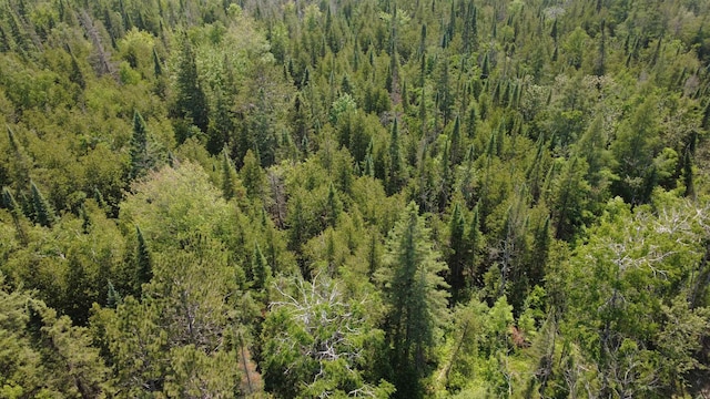 x Oleskie Trail, West Branch, MI 48661