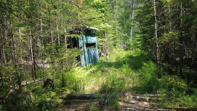 x Oleskie Trail, West Branch, MI 48661
