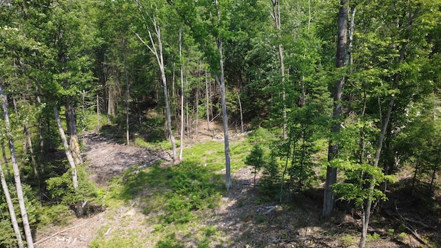 x Oleskie Trail, West Branch, MI 48661